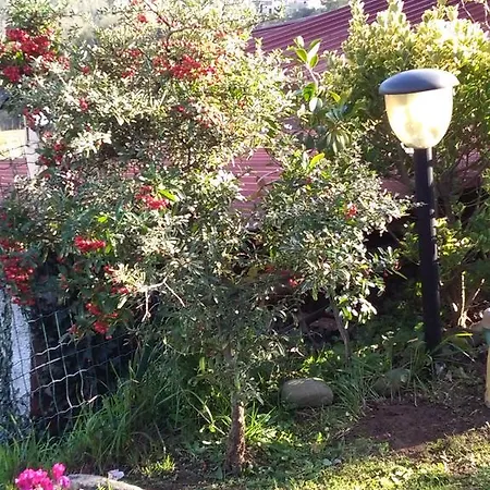 Сasa de vacaciones Casa Lilly *