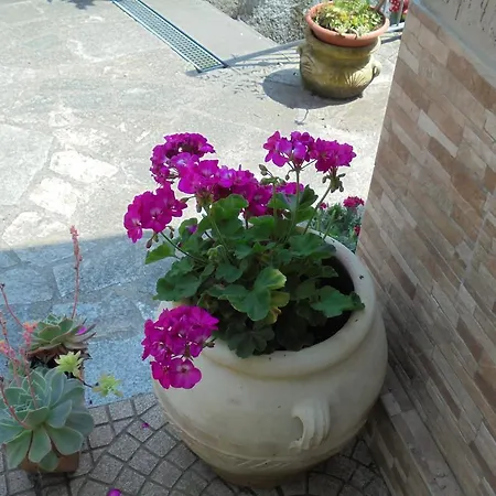 Casa Lilly * 베베리노