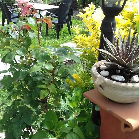 Casa Lilly * 베베리노