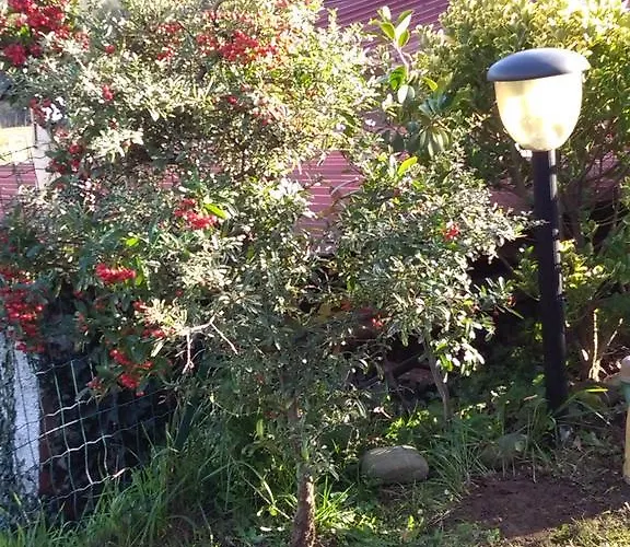 Σπίτι διακοπών Casa Lilly *